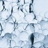 Peptide